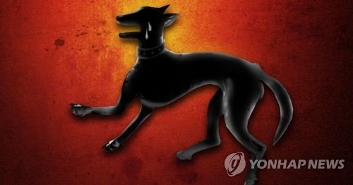 [제작 조혜인] 일러스트 /사진=연합뉴스