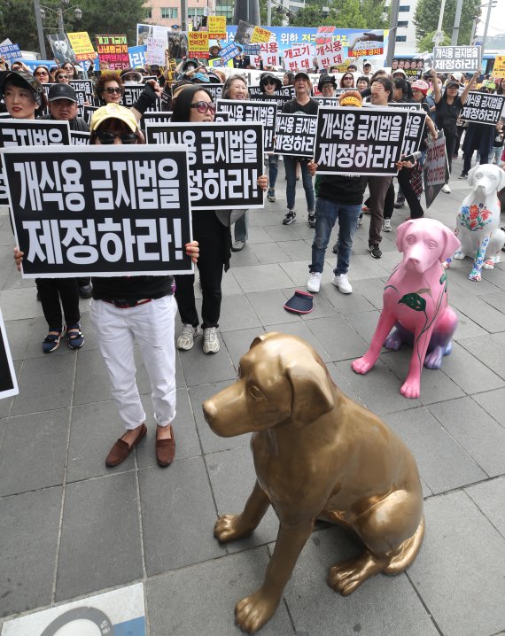 오는 17일 초복을 앞두고 동물보호 단체들이 '개식용 금지법 제정'을 촉구하는 시위가 이어질 전망이다. 지난 5월 7일 서울 종로구 북인사마당에서 '개식용 종식을 위한 집회'가 열리고 있다. 연합뉴스