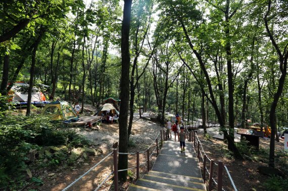 의왕시 바라산휴양림. 사진제공=의왕시