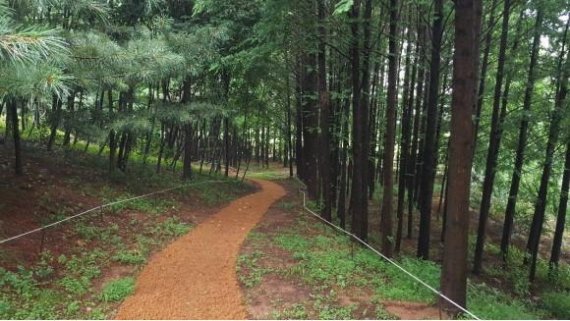 인천시, 연희공원 산림치유 프로그램 참가자 모집