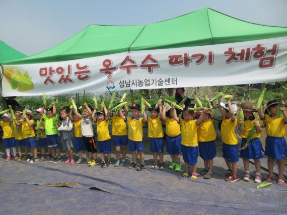 '옥수수 따기 체험', 16~19일 성남서 개최