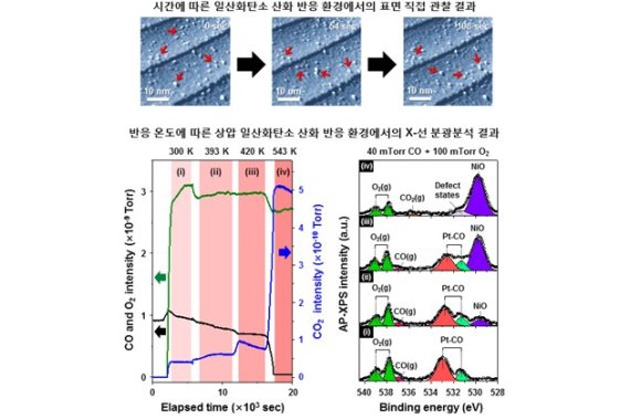 시간에 따른 직접관찰 이미지