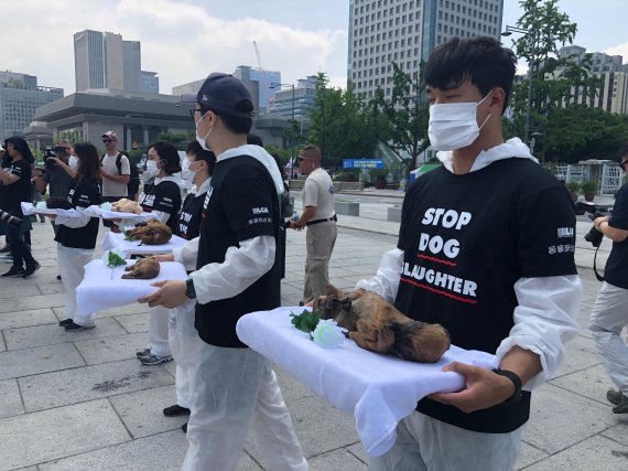 국내 동물보호단체인 동물해방물결이 17일 오후 1시에 서울 광화문 광장에서 개식용 반대 퍼포먼스를 진행하고 있다.