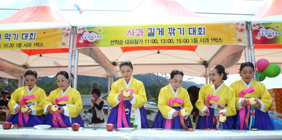 수동사과축제