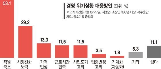 [최저임금 후폭풍]자영업자 경영위기 심각..대책 1순위는 '직원 축소'