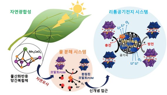 광합성 반응을 모사한 차세대 이차전지 개발