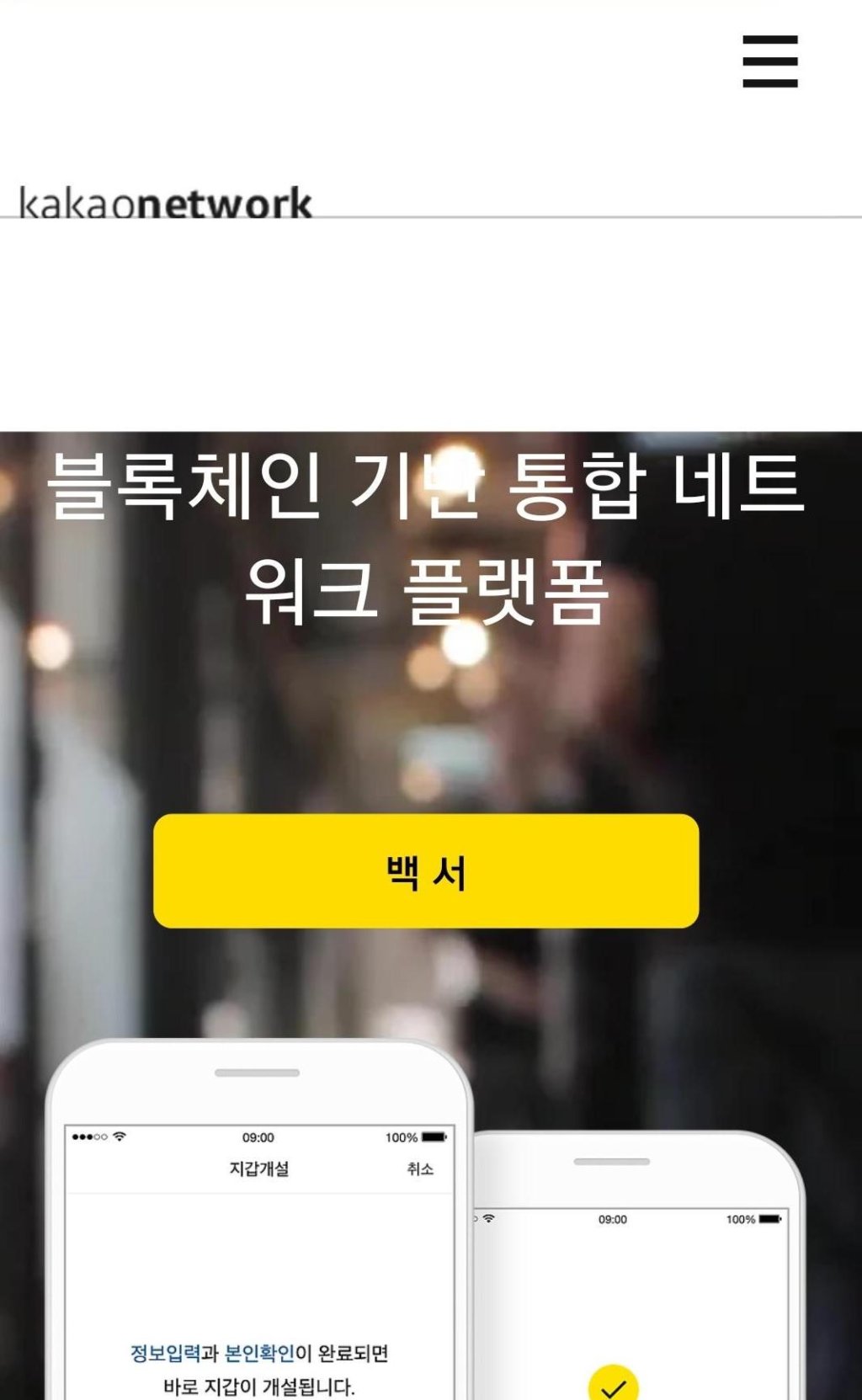 ICO 사기에 블록체인 산업 멍든다 - 파이낸셜뉴스