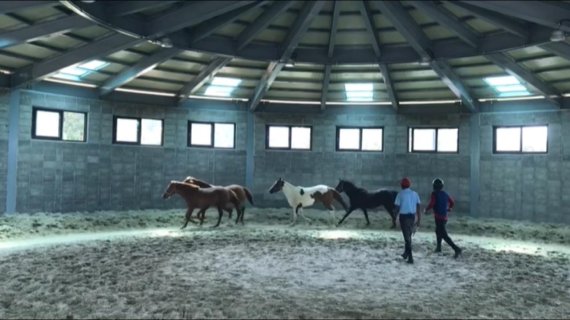 제주 말 조련 거점센터. /사진=제주도 축산지흥원