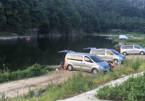 울산 태화강 수달, 낚시꾼 급증에 생존 위협... 마땅한 대책없어