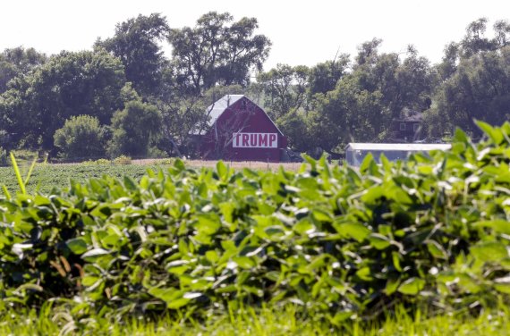 A field of soybeans is seen in front of a barn carrying a large Trump sign in rural Ashland, Neb., Tuesday, July 24, 2018. The Trump administration announced it will provide $12 billion in emergency relief to ease the pain of American farmers slammed by President Donald Trump's escalating trade disp