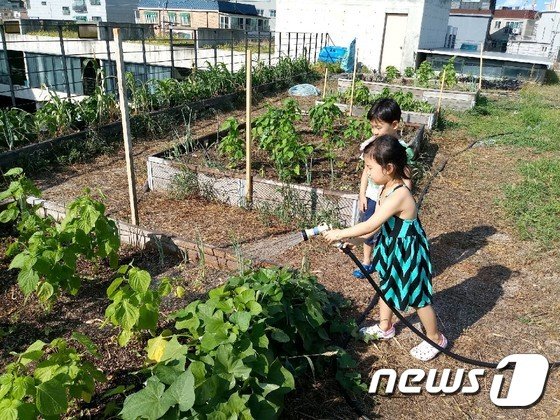 전북 전주시농업기술센터는 포스트고로나 이후 시대를 대비해 옥상 텃밭을 조성한다. 텃밭은 가족단위로 마음 치유 일환으로 진행된다. 사진=뉴스1