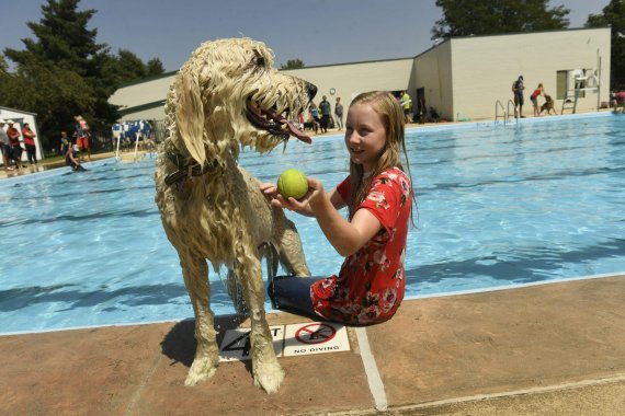 애로우가 제리 스웨인의 딸인 엘라 스웨인과 덴버 파크스 앤 레크리에이션은 수영장에서 신나개 물놀이를 하고 있다.