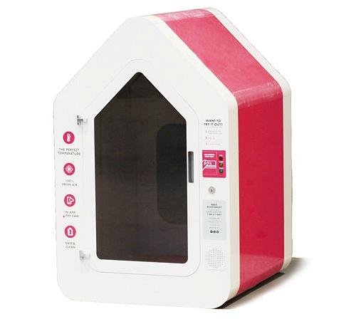 [사진=도그파커]