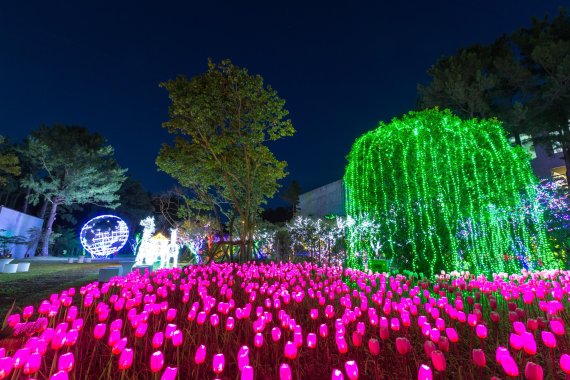 [fn포토] “야(夜), 놀자!” 어둠이 내리자, LED 빛 축제로!