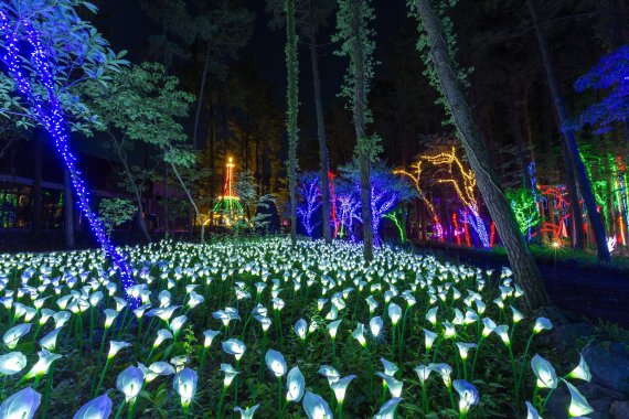 [fn포토] “야(夜), 놀자!” 어둠이 내리자, LED 빛 축제로!