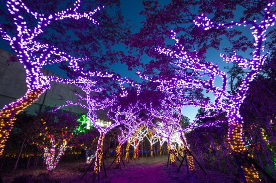 [fn포토] “야(夜), 놀자!” 어둠이 내리자, LED 빛 축제로!
