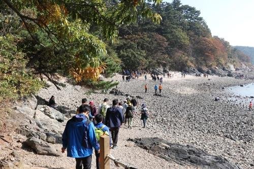 안산 대부해솔길. 사진제공=안산시