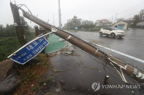 강풍에 똑 부러진 전봇대. 제19호 태풍 솔릭이 제주도를 관통한 23일 오전 제주 서귀포시 대포동에 있는 전봇대가 강풍에 쓰러져 있다. 2018.8.23 [연합뉴스]