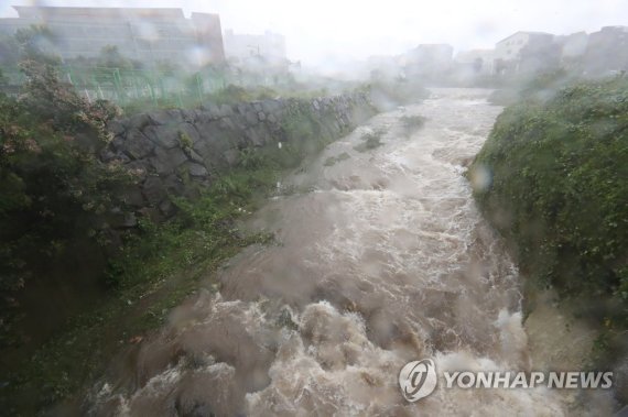 급류로 변한 제주 도심의 병문천. 제19호 태풍 솔릭이 제주도를 관통한 23일 오후 제주시 아라동 병문천에 급류가 흐르고 있다. 병문천은 많은 양의 비가 오지 않으면 물이 거의 흐르지 않는다. 2018.8.23 연합뉴스]