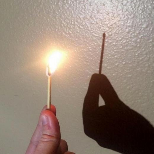 [사진=보어드판다]