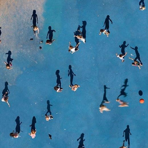 [사진=보어드판다]