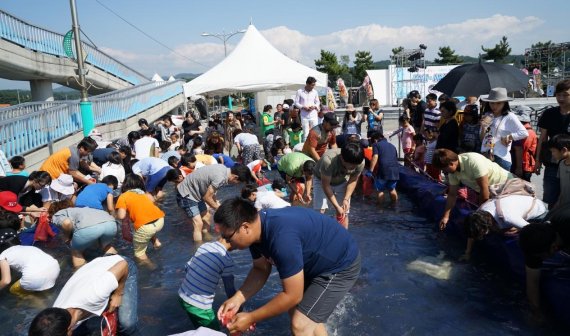 지난해 9월 충남 보령 무창포 신비의 바닷길에서 열린 대하·전어 축제에서 축제 참여자들이 대하맨손잡기 체험을 하고 있다.