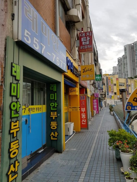 9·13 부동산 대책 발표 하루 뒤인 14일 서울 대치동 은마아파트 인근 부동산들이 단속을 피해 문을 걸어잠고 있다.