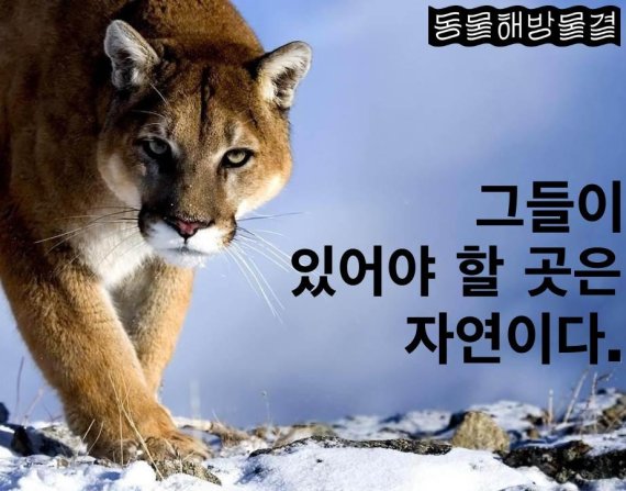 "야생 동물이 있어야 할 곳은 동물원이 아닌 자연"