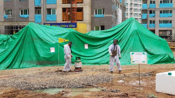 환경당국이 붉은불개미가 발견된 대구시 북구 모 아파트 건설현장의 조경용 석재에 대해 훈증 소득을 하고 있다.