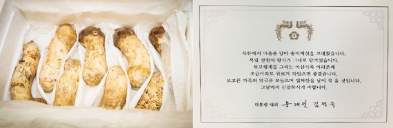 평양정상회담 당시 김정은 북한 국무위원장이 선물한 송이버섯. 연합뉴스