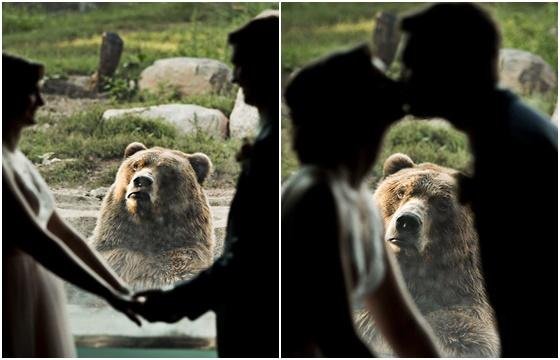 한 연인이 웨딩 사진을 촬영하고 있는 현장에서 포착된 불곰의 표정이 누리꾼들의 이목을 집중시키고 있다. 사진=보어드판다 갈무리