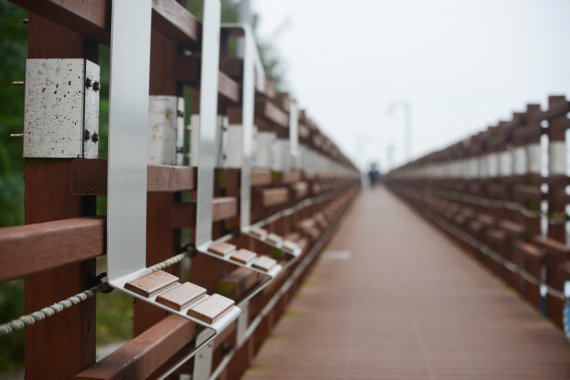 국화꽃 향기가 물씬 풍기는 10월, 은행잎 즈려밟고 걸어보자