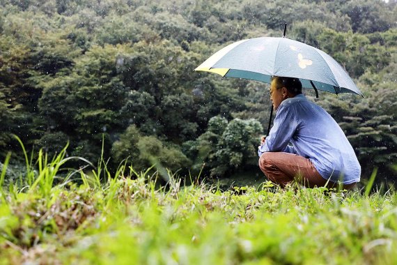 문재인 대통령이 지난 29일 오전 경남 양산시 사저 뒷산에서 산책을 하고 있다. 청와대 제공