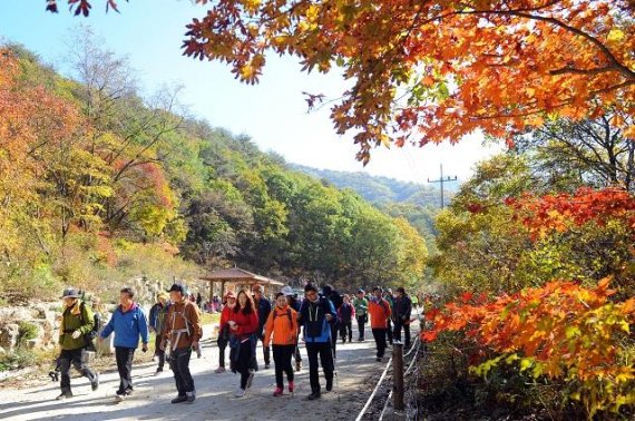 9일 양구군은 오는 12일 양구군 동면 비득고개~두타연까지 9km 구간, 수압천 지류 낀 환상의 코스 컫기 대회를 개최한다 고 밝혔다.