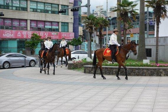 제주도 자치경찰단 기마대가 탐라문화광장을 순찰하고 있다. /사진=fnDB