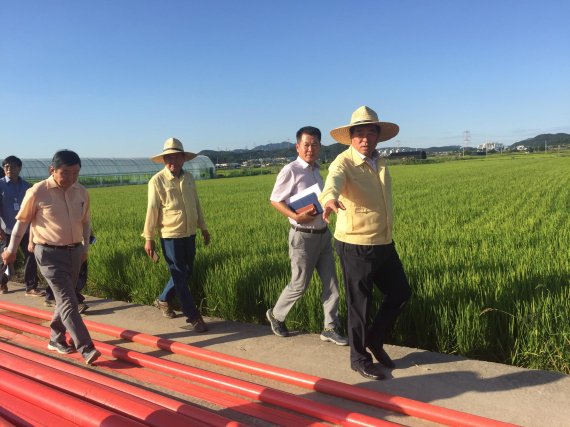 윤화섭 안산시장(오른쪽)이 8월17일 농작물 폭염대책 점검. 사진제공=안산시