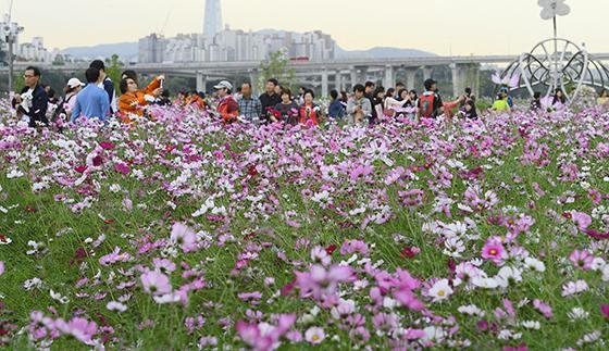 가을이 선물한 풍경