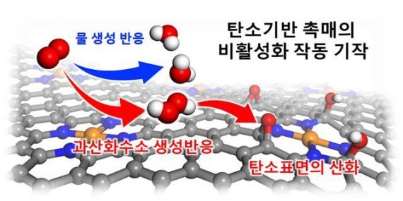 활성산소 조절로 수소연료전지 촉매 내구성 향상