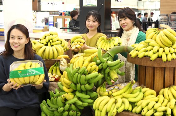 농협유통, '먹으면 반하는 국내산 바나나 드세요'