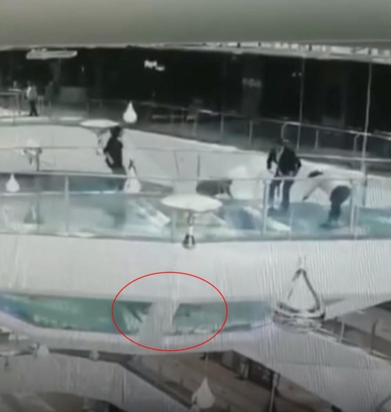 쇼핑몰 통로를 뛰어가던 여성이 바닥 아래 상어 수족관에 빠지는 사고가 발생했다 /사진=CGTN 유튜브 갈무리