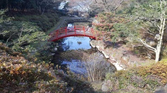 11월 끝자락, 제주 한라수목원 “늦가을 풍광 속으로”