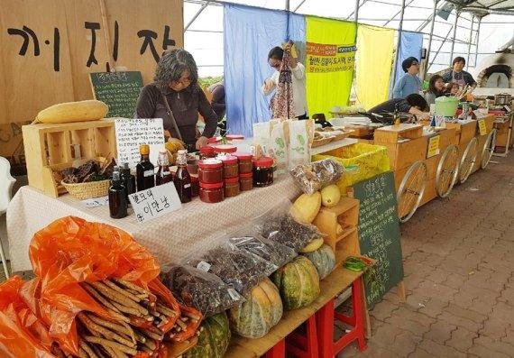 제주의 허파 ‘곶자왈’ 지킴이 ‘도체비장’ 개최