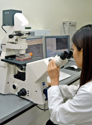 한국야쿠르트 중앙연구소에서 연구원이 프로바이오틱스 유산균을 연구하고 있다.