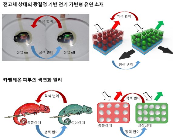 (그림1)카멜레온 피부의 색변화 원리를 모사한 전기 가변형 유연소재