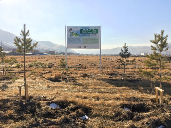 경기 남양주시와 푸른아시아가 몽골 울란바토르시 수흐바타르구 담부다르자 지역에 조성한 '다산숲'/사진 제공=푸른아시아