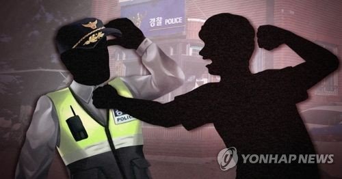 신고를 받고 출동한 경찰관에 흉기를 휘둘러 중상을 입힌 30대 중국동포가 현행범으로 체포됐다. /사진=연합뉴스