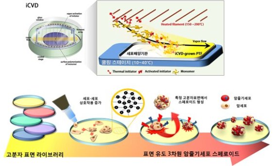 KAIST, 암 줄기세포 제작 원천 기술 개발