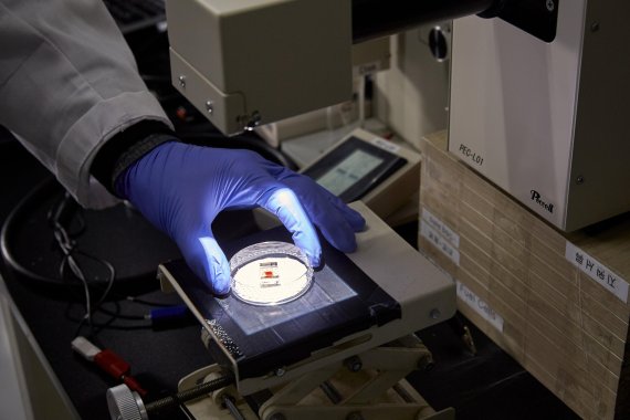 납 없는 페로브스카이트를 유기염료 감응 태양전지가 시험대에 올려져 있다 /사진=UNIST