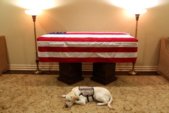 조지 H.W 부시 전 대통령의 장례식에서 마지막 가는길을 반려견 '설리'가 끝까지 지키고 있다. 사진=Jim McGrath 트위터