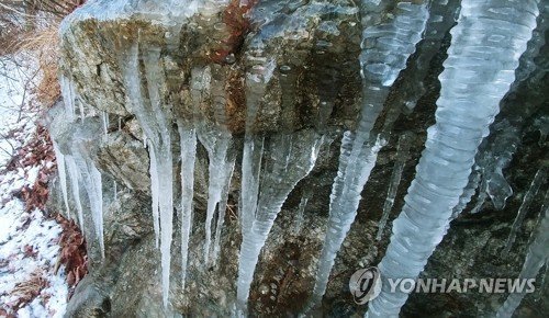 "이불 밖은 위험해"..맹추위에 외출 연기 및 취소